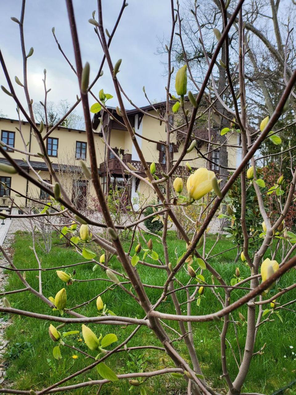 Villa Musik - Historical Apartments In Baden Luaran gambar