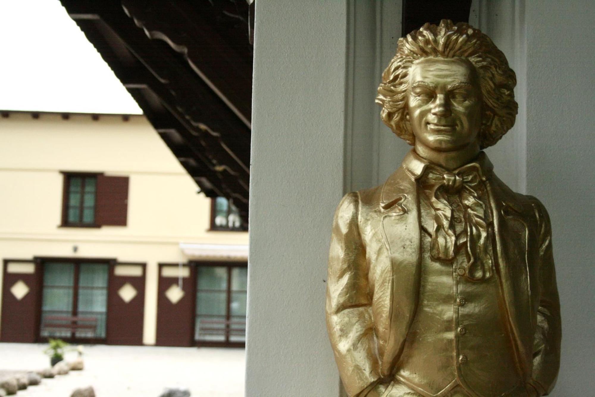 Villa Musik - Historical Apartments In Baden Luaran gambar